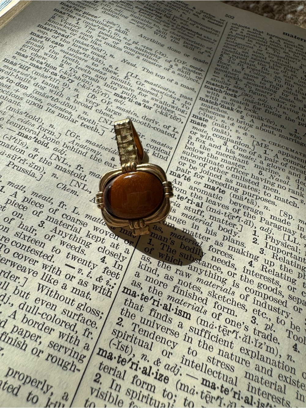 Tigers Eye Clip on Gem